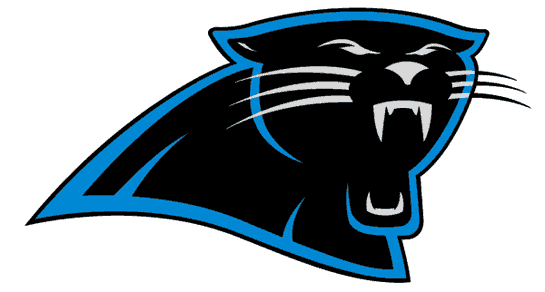 Carolina Panthers 1995-2011 Primary Logo t shirts iron on transfers...